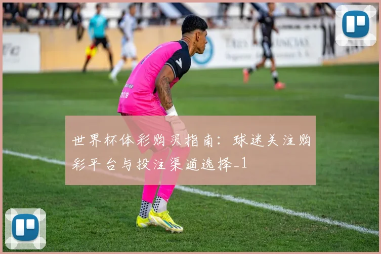 世界杯体彩购买指南：球迷关注购彩平台与投注渠道选择_1